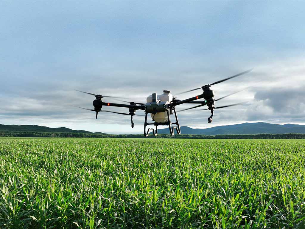 Drone DJI Agras T40 volant au-dessus d'un champ agricole