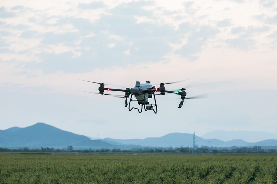 DJI Agras T50 drone in flight over an agricultural field