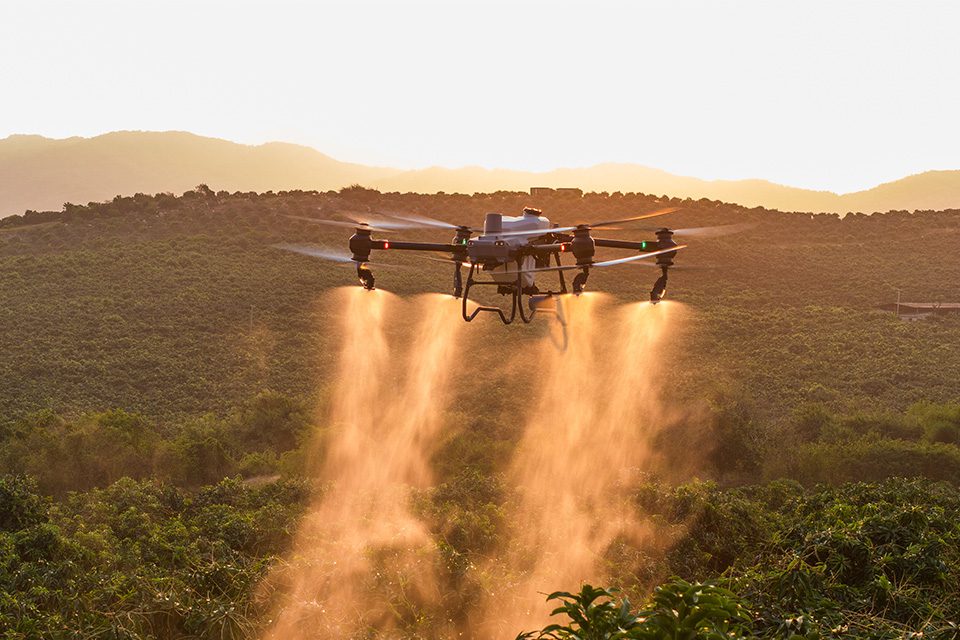 drone dji agras T50 en train de pulvériser un produit dans un champ