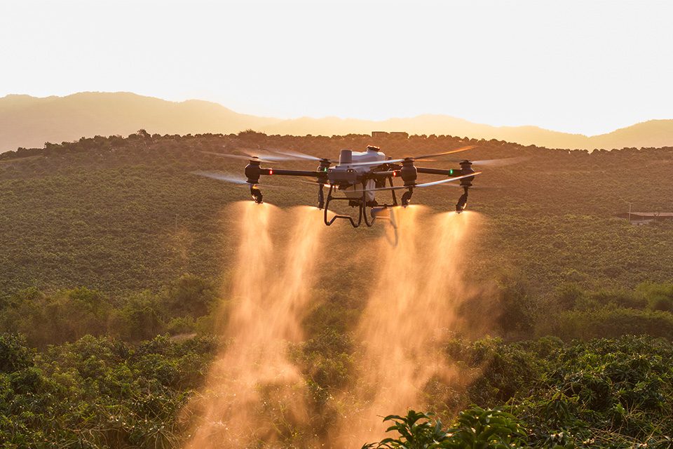 dji agras T50 drone spraying a product in a field
