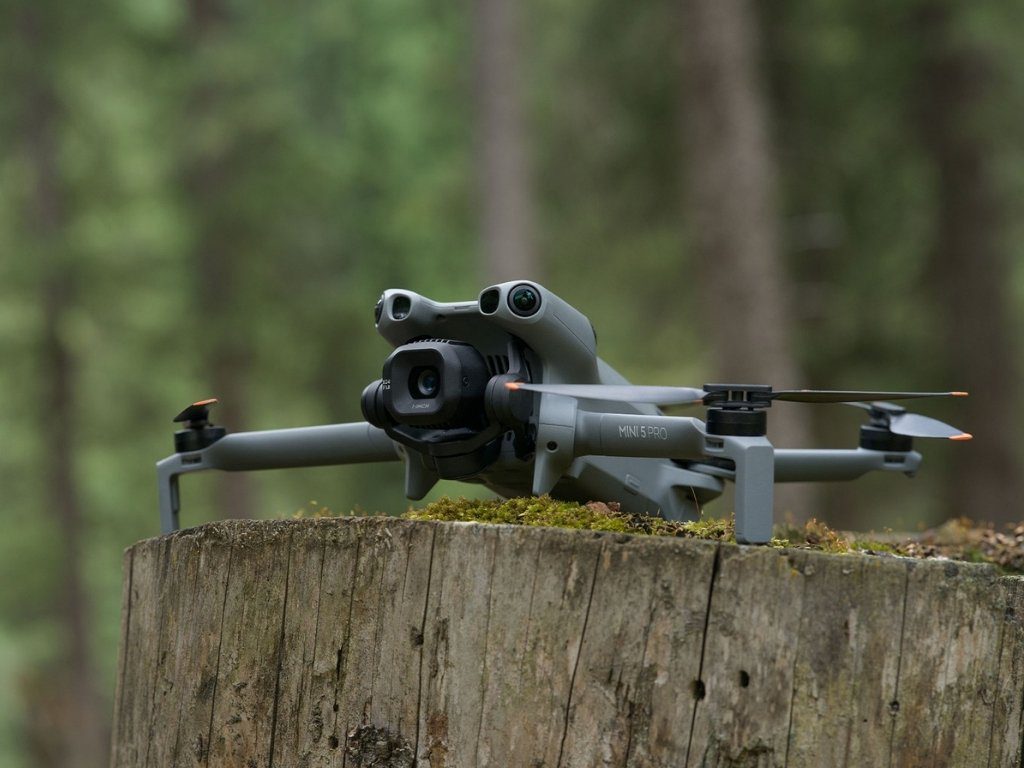Drone DJI Mini 5 Pro posé sur une souche en forêt